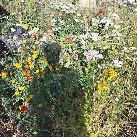 Pansiyon Gee Is Sharing