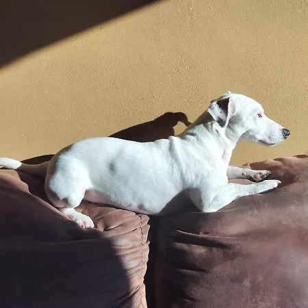 Gee Is Sharing 列日