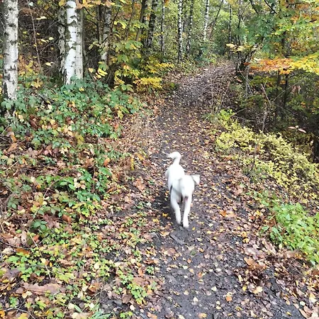 Gee Is Sharing Pansiyon Liège