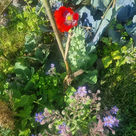 Gee Is Sharing 民宿 列日