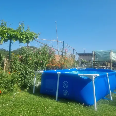 Gee Is Sharing Liège