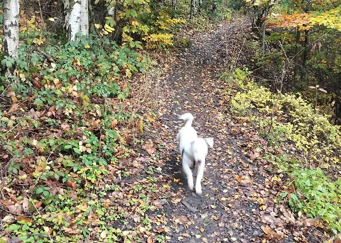 Gee Is Sharing Homestay Liege