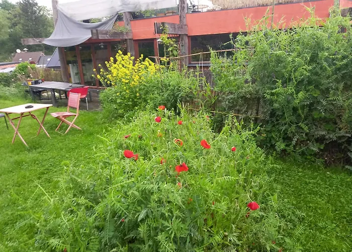 Homestay Gee Is Sharing *