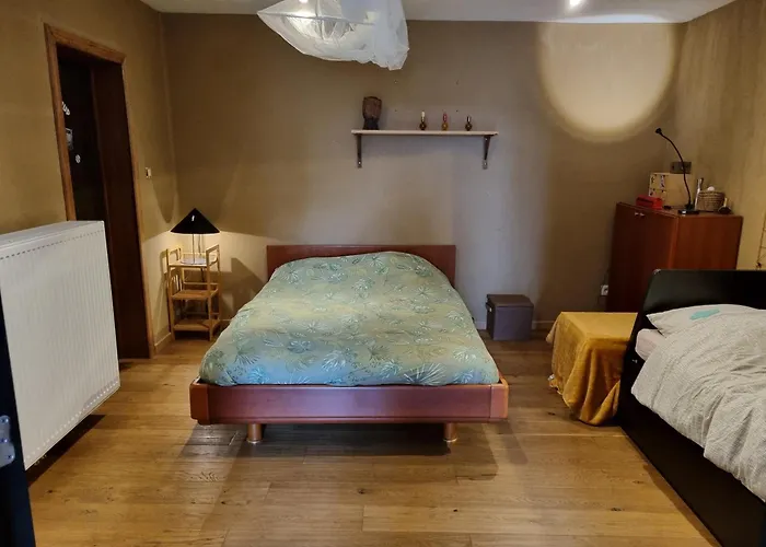 Gee Is Sharing Liege