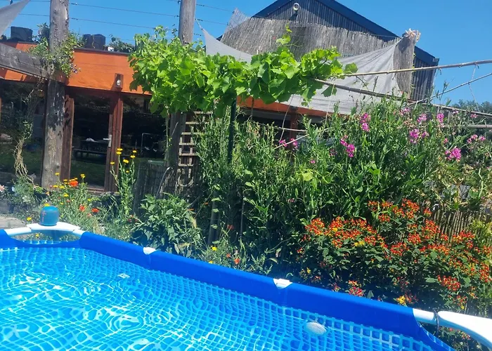 Homestay Gee Is Sharing