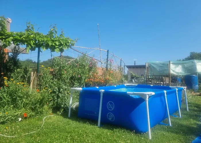 Gee Is Sharing Liege